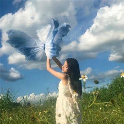 森林进化论